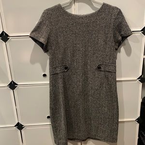 Tahari- shirt sleeve knit midi with zipper back